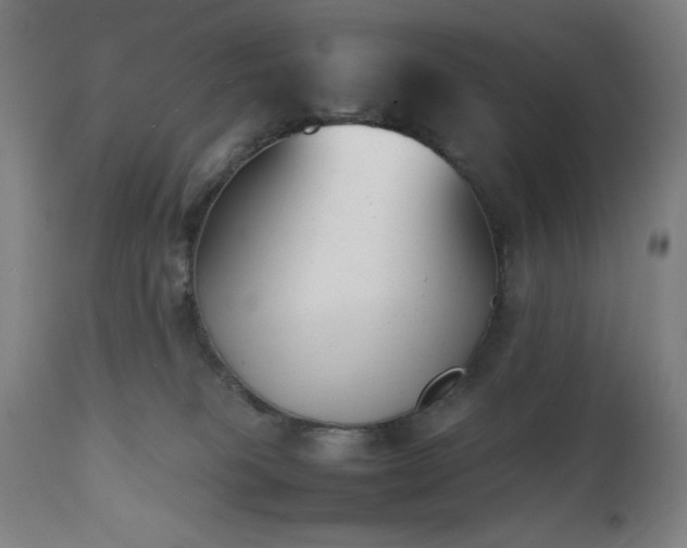 X0000112050085200908041201