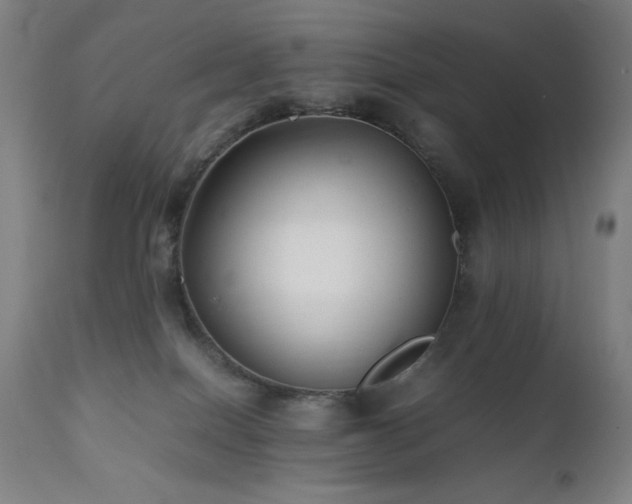 X0000112050086200908041201