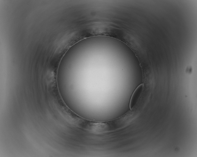 X0000112050087200908041201