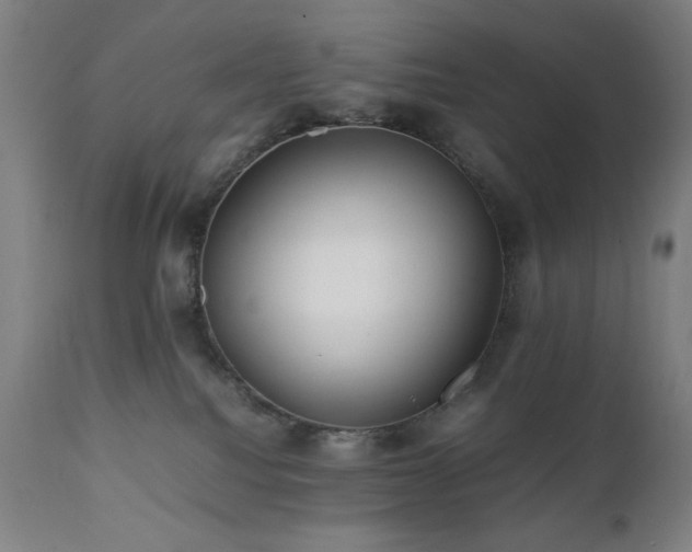 X0000112050088200908041201