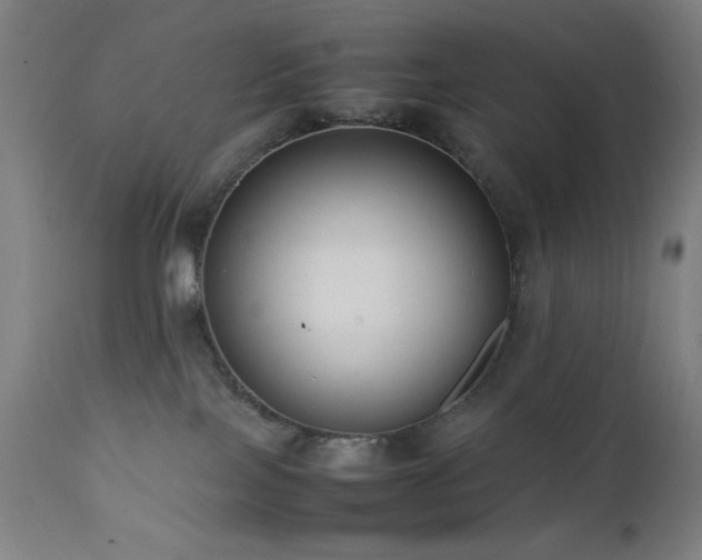 X0000112050089200908041201