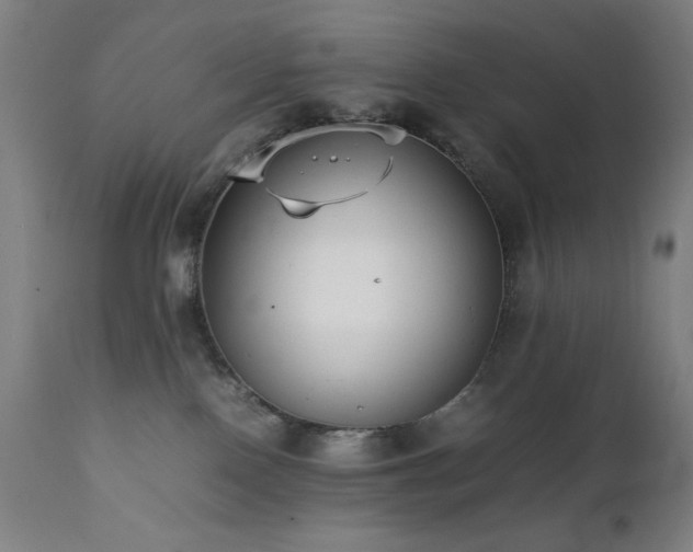 X0000112050090200908041201