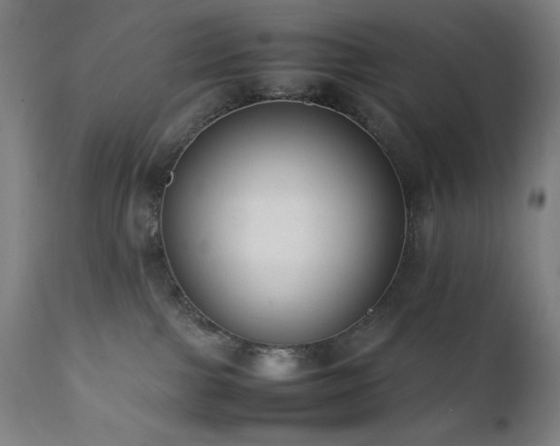 X0000112050091200908041201