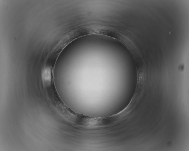 X0000112050094200908041201