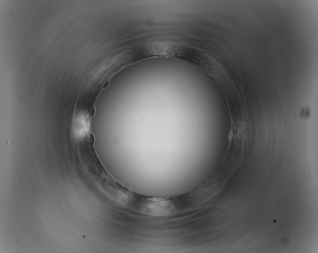 X0000112050095200908041201