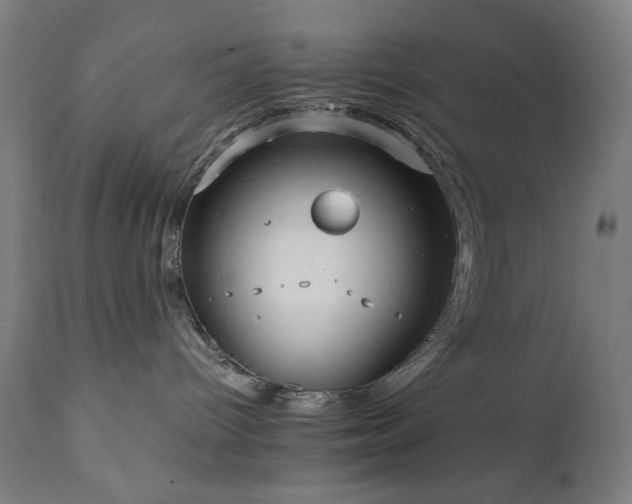 X0000112050096200908041201