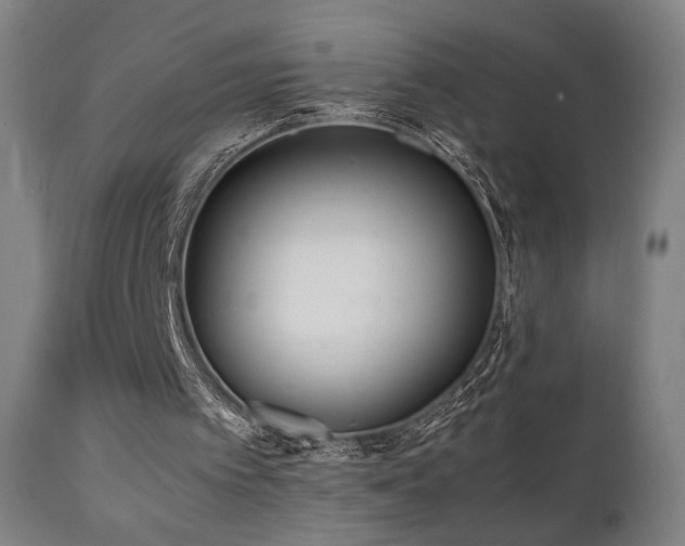 X0000112050097200908041200