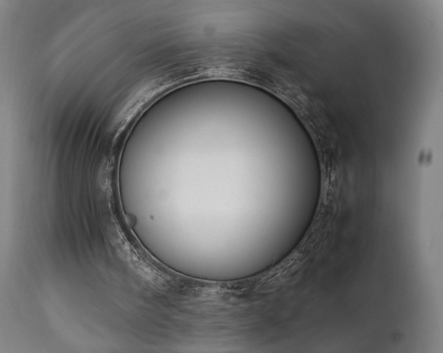 X0000112050098200908041200