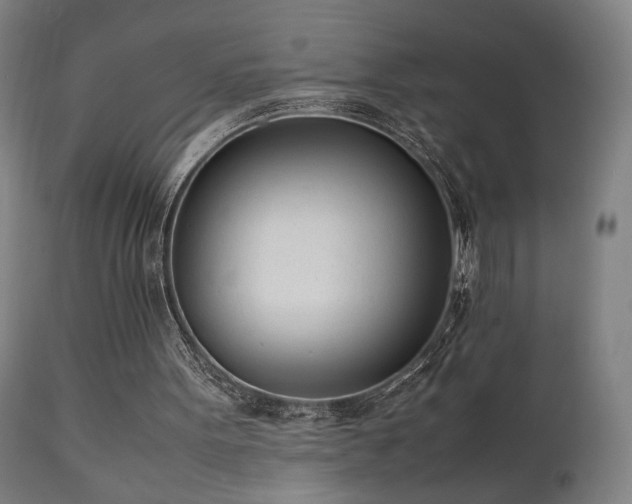 X0000112050099200908041200