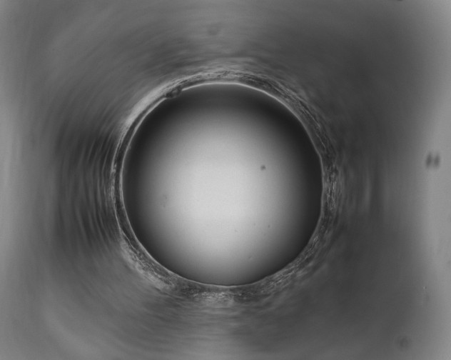 X0000112050100200908041200