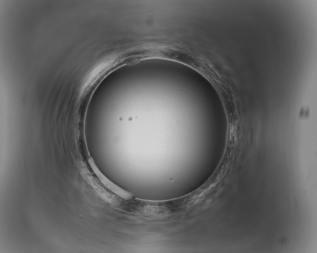 X0000112050101200908041200