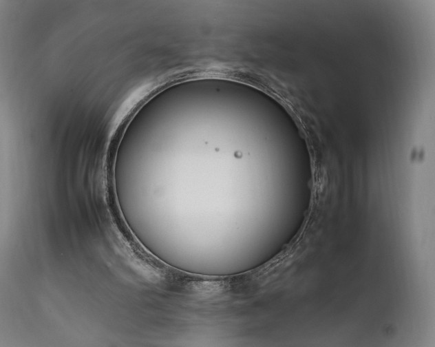 X0000112050102200908041200