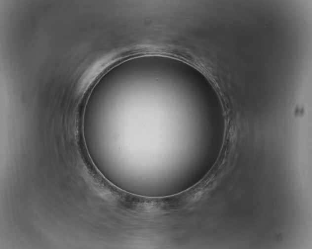 X0000112050103200908041200