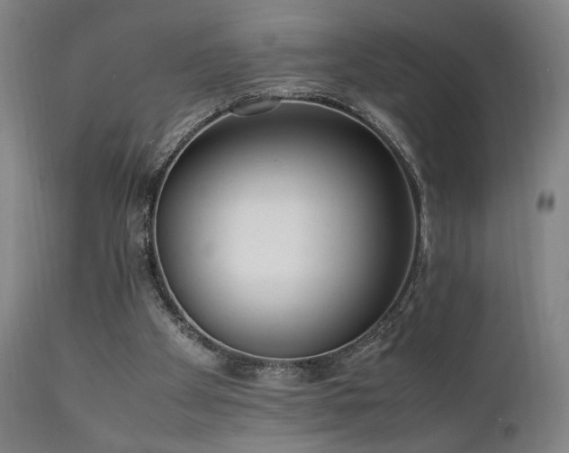 X0000112050105200908041200