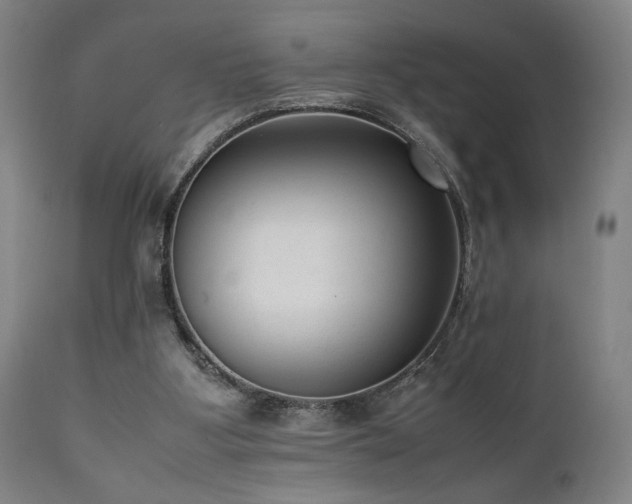 X0000112050107200908041200