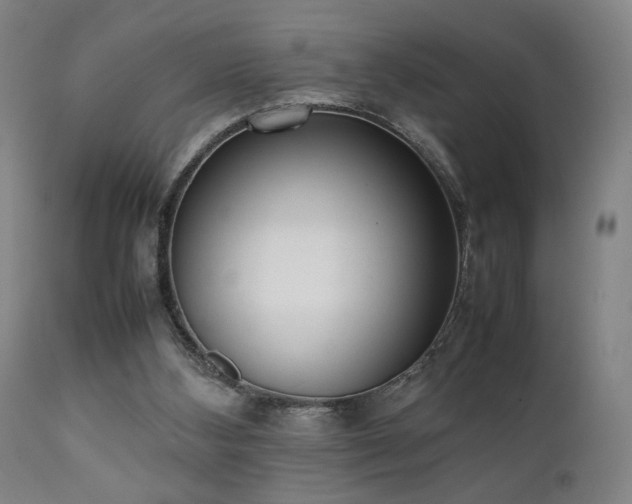 X0000112050108200908041200