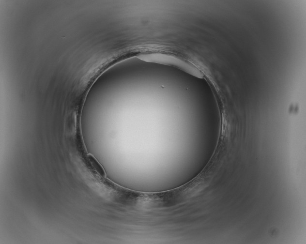 X0000112050109200908041200