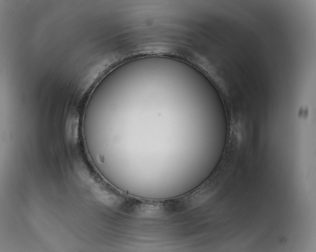 X0000112050110200908041200