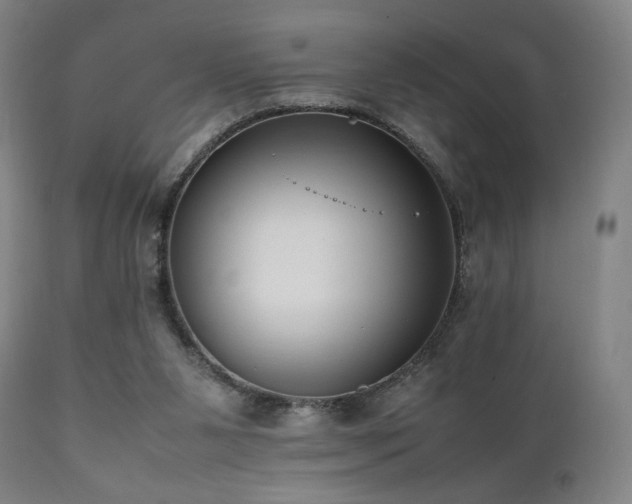 X0000112050111200908041200