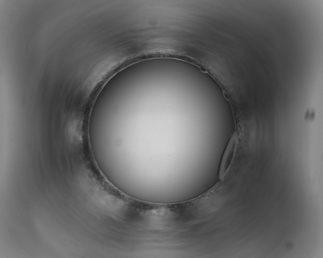 X0000112050112200908041200