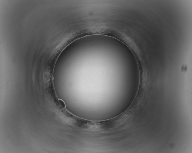 X0000112050113200908041200