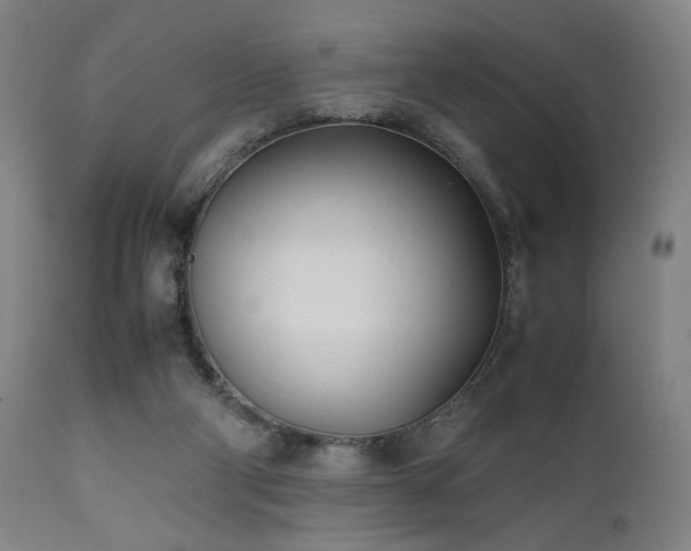 X0000112050114200908041200