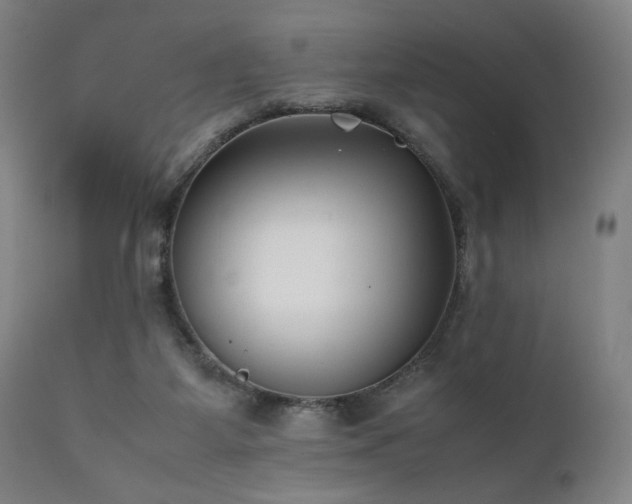 X0000112050115200908041200