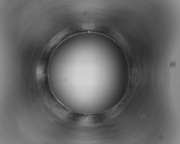 X0000112050116200908041200