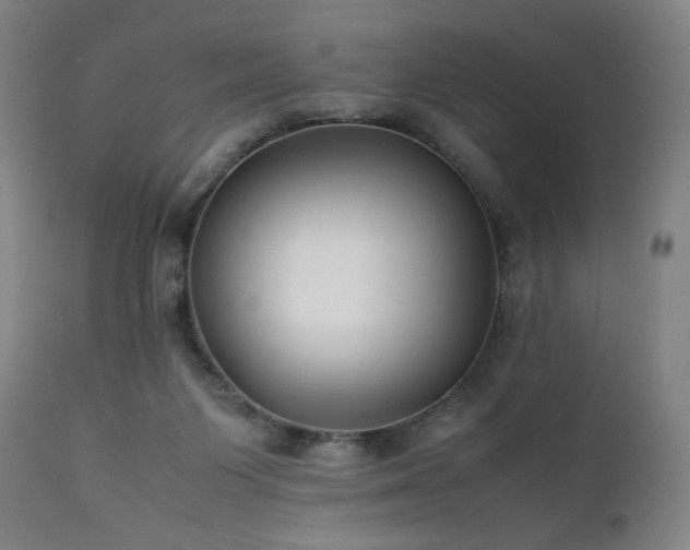 X0000112050119200908041200