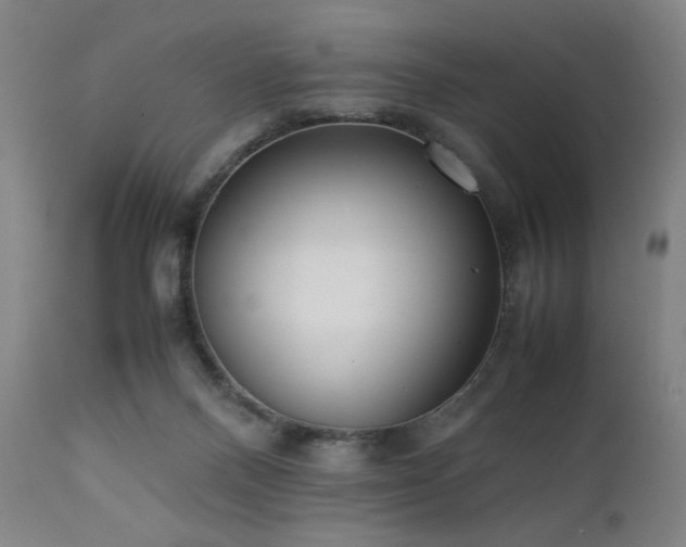 X0000112050120200908041200