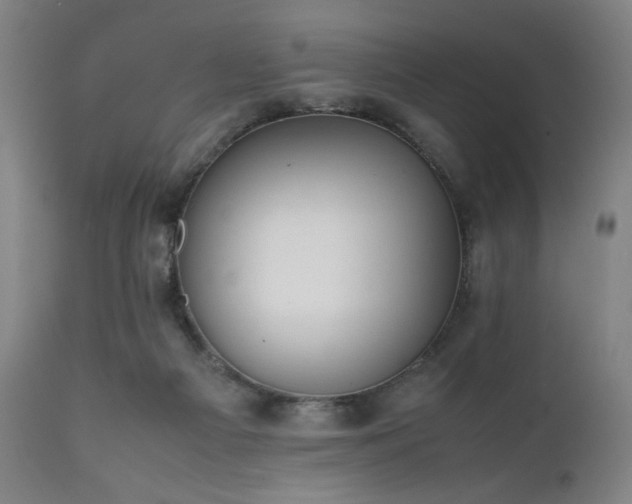 X0000112050121200908041200