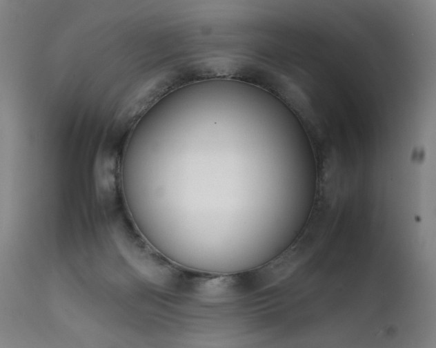 X0000112050122200908041200