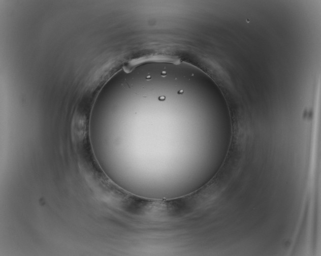 X0000112050123200908041200