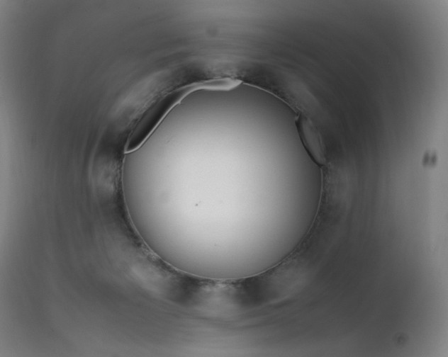 X0000112050125200908041200