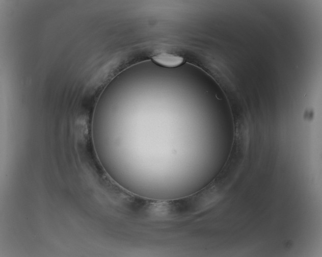 X0000112050127200908041200