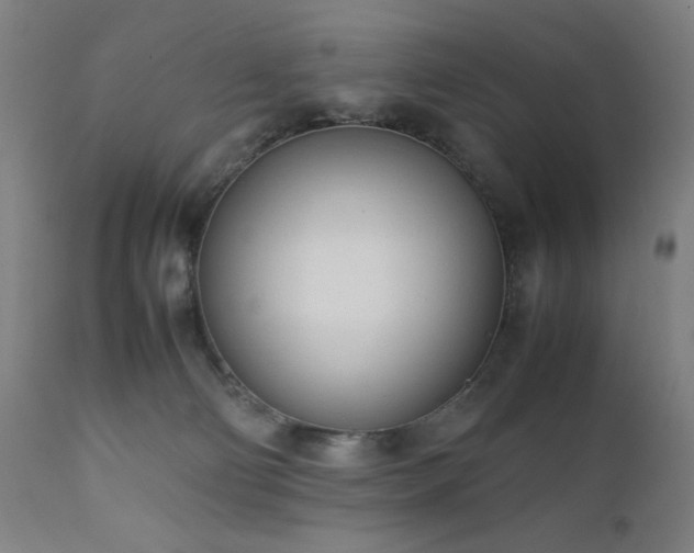 X0000112050130200908041200