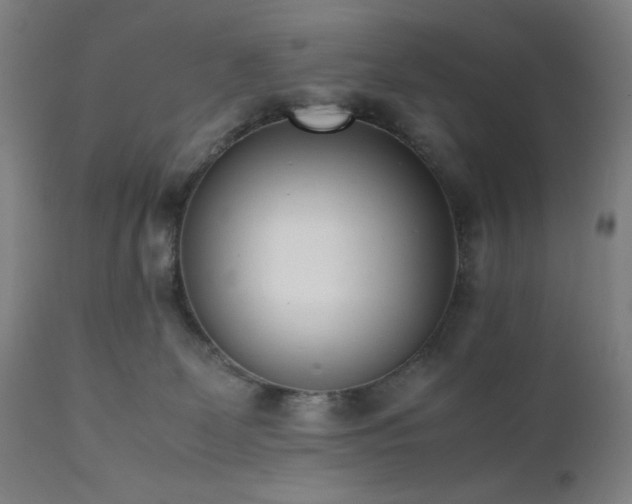 X0000112050131200908041200