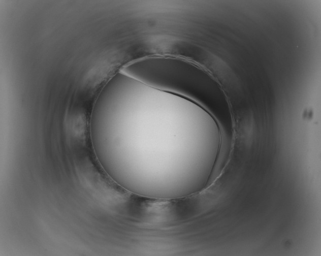 X0000112050132200908041200