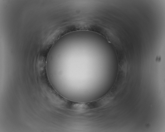 X0000112050133200908041200