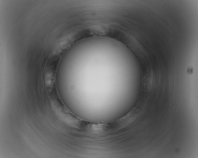 X0000112050134200908041200