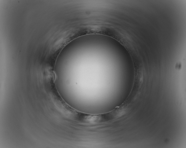 X0000112050135200908041200