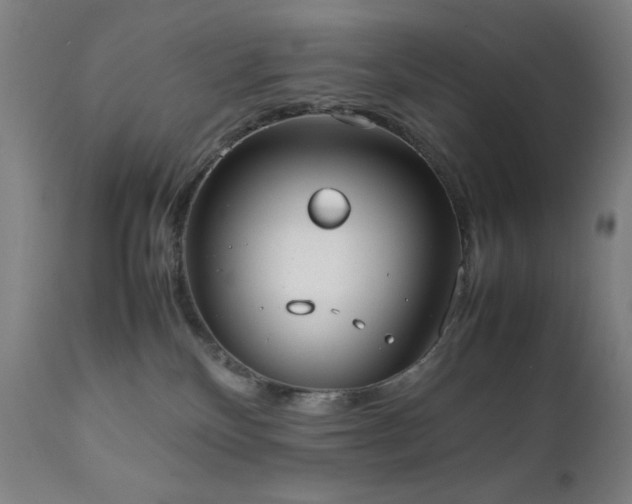 X0000112050136200908041200