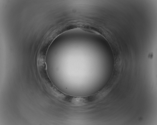 X0000112050137200908041200