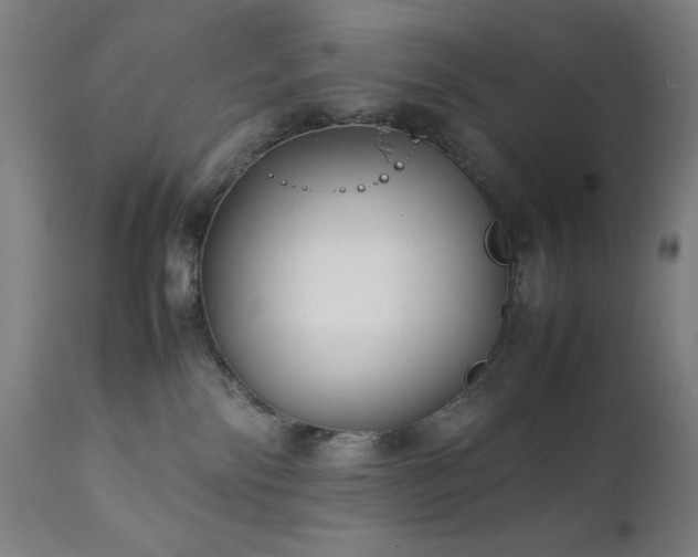 X0000112050138200908041200