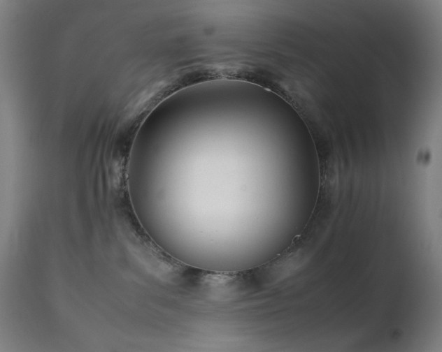 X0000112050139200908041200