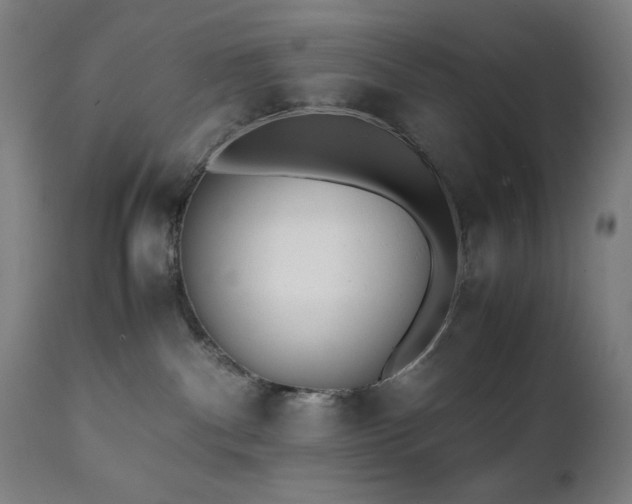 X0000112050140200908041200