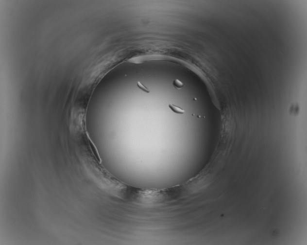 X0000112050141200908041200