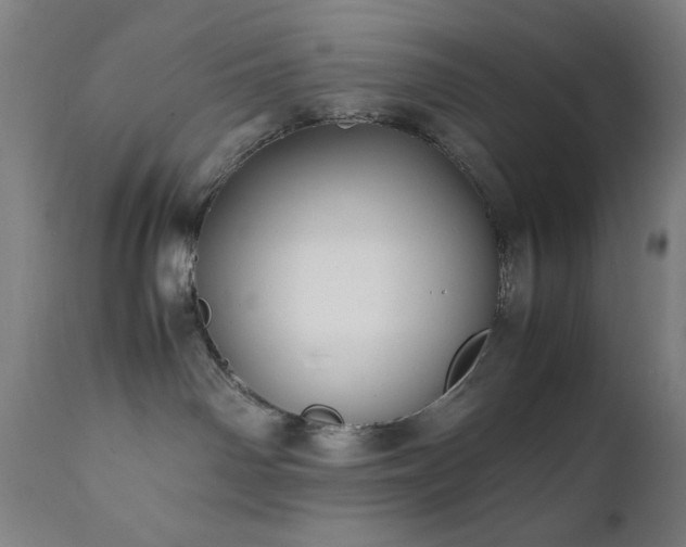 X0000112050142200908041200