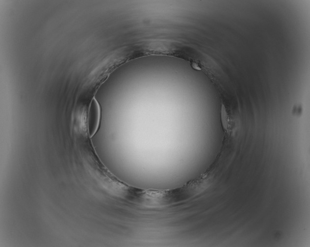 X0000112050143200908041200