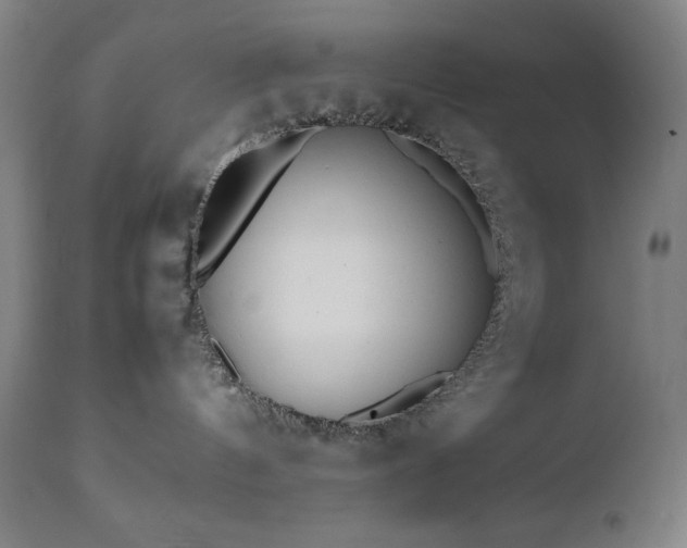 X0000112050144200908041200